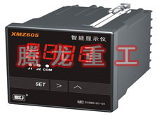 溫度表、數(shù)字顯示儀、濕度表