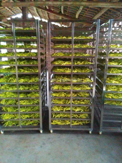 黃花菜烘干機(jī)、黃花菜烘干設(shè)備、黃花菜干燥機(jī)、黃花菜干燥設(shè)備、